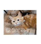 大阪弁むぎ様スタンプ（個別スタンプ：6）