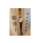 大阪弁むぎ様スタンプ（個別スタンプ：7）