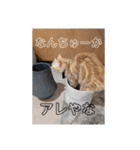 大阪弁むぎ様スタンプ（個別スタンプ：14）