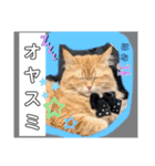 大阪弁むぎ様スタンプ（個別スタンプ：21）