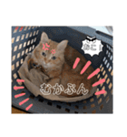 大阪弁むぎ様スタンプ（個別スタンプ：24）