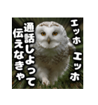 ず〜っと使える♪エッホエッホ。（個別スタンプ：20）