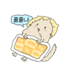 話すニャニャさん（個別スタンプ：1）