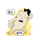 話すニャニャさん（個別スタンプ：11）