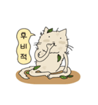 話すニャニャさん（個別スタンプ：30）