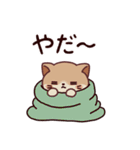 おっさにゃん時々しらたま⭐︎春編（個別スタンプ：25）
