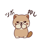 おっさにゃん時々しらたま⭐︎春編（個別スタンプ：29）