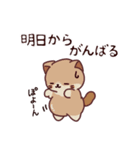 おっさにゃん時々しらたま⭐︎春編（個別スタンプ：31）