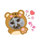 イト・トロ・マシュのスタンプ！（個別スタンプ：2）