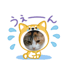 イト・トロ・マシュのスタンプ！（個別スタンプ：7）