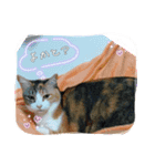 イト・トロ・マシュのスタンプ！（個別スタンプ：9）