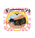イト・トロ・マシュのスタンプ！（個別スタンプ：11）