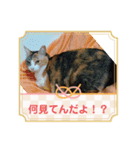 イト・トロ・マシュのスタンプ！（個別スタンプ：12）