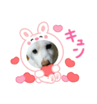 イト・トロ・マシュのスタンプ！（個別スタンプ：16）