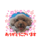 ふうちゃんと、なっちゃん（個別スタンプ：1）