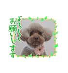 ふうちゃんと、なっちゃん（個別スタンプ：3）