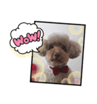 ふうちゃんと、なっちゃん（個別スタンプ：4）