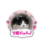 ふうちゃんと、なっちゃん（個別スタンプ：5）