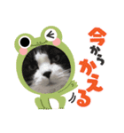 ふうちゃんと、なっちゃん（個別スタンプ：7）