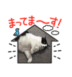 ふうちゃんと、なっちゃん（個別スタンプ：8）