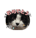 ふうちゃんと、なっちゃん（個別スタンプ：14）