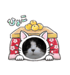 ふうちゃんと、なっちゃん（個別スタンプ：16）