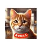 かわいい茶トラ猫スタンプ（個別スタンプ：1）