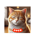 かわいい茶トラ猫スタンプ（個別スタンプ：4）