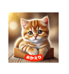 かわいい茶トラ猫スタンプ（個別スタンプ：20）