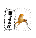 ホニちゃん（個別スタンプ：8）