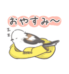 我、シマエナガさん！！ 1（個別スタンプ：2）
