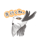 我、シマエナガさん！！ 1（個別スタンプ：5）