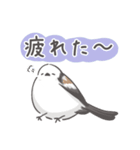 我、シマエナガさん！！ 1（個別スタンプ：9）
