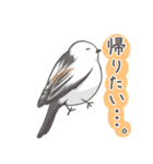 我、シマエナガさん！！ 1（個別スタンプ：13）