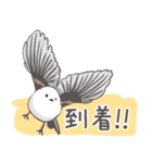 我、シマエナガさん！！ 1（個別スタンプ：14）