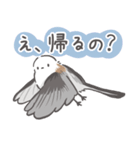我、シマエナガさん！！ 1（個別スタンプ：19）