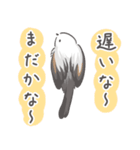 我、シマエナガさん！！ 1（個別スタンプ：20）