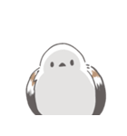我、シマエナガさん！！ 1（個別スタンプ：25）