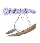 我、シマエナガさん！！ 1（個別スタンプ：31）