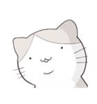 『ハチワレがゆく』ねこさんスタンプ（個別スタンプ：17）