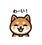 シンプルな柴犬スタンプ（日常会話系）（個別スタンプ：1）