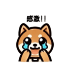 シンプルな柴犬スタンプ（日常会話系）（個別スタンプ：7）