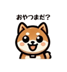 シンプルな柴犬スタンプ（日常会話系）（個別スタンプ：11）