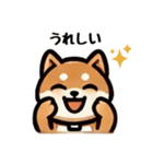 シンプルな柴犬スタンプ（日常会話系）（個別スタンプ：12）