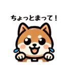 シンプルな柴犬スタンプ（日常会話系）（個別スタンプ：13）