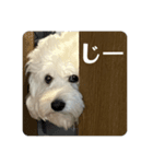 はるのつむじ その4（個別スタンプ：15）