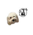 はるのつむじ その4（個別スタンプ：16）
