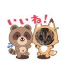 ハッシーの猫ちゃん( ΦωΦ )（個別スタンプ：4）