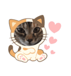 ハッシーの猫ちゃん( ΦωΦ )（個別スタンプ：8）