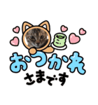 ハッシーの猫ちゃん( ΦωΦ )（個別スタンプ：10）